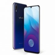 vivo 1